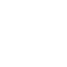 ROMASTER program
