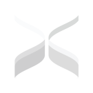 X Mentor program