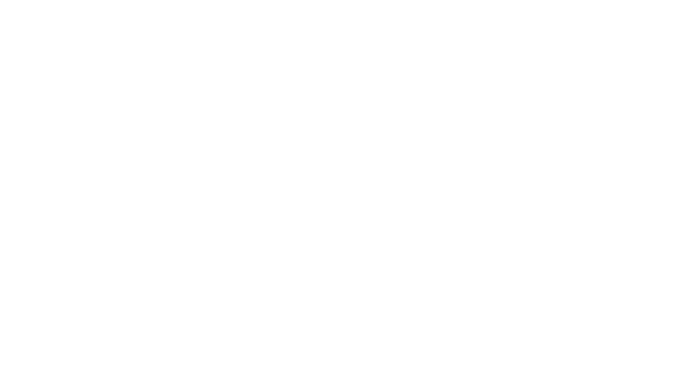 Morgan Stanley Hungary Analytics Ltd.